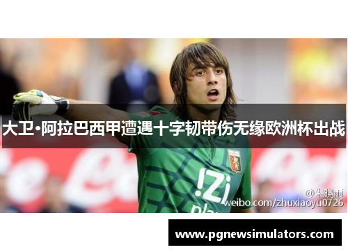 大卫·阿拉巴西甲遭遇十字韧带伤无缘欧洲杯出战