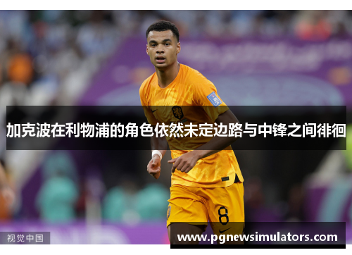 加克波在利物浦的角色依然未定边路与中锋之间徘徊