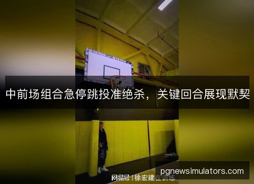 中前场组合急停跳投准绝杀,关键回合展现默契 中前场组合急停跳投准绝杀,关键回合展现默契